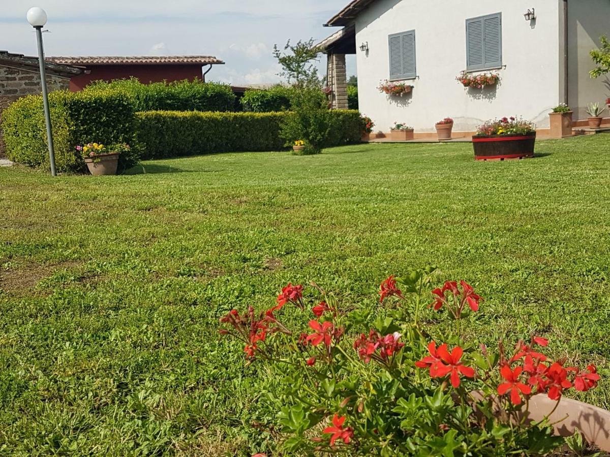 Apartment Agricampolungo Monterosi