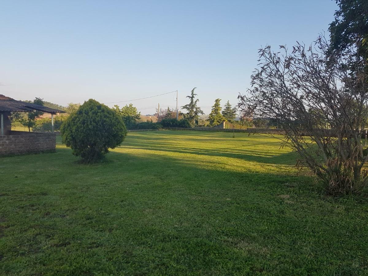 Apartment Agricampolungo *